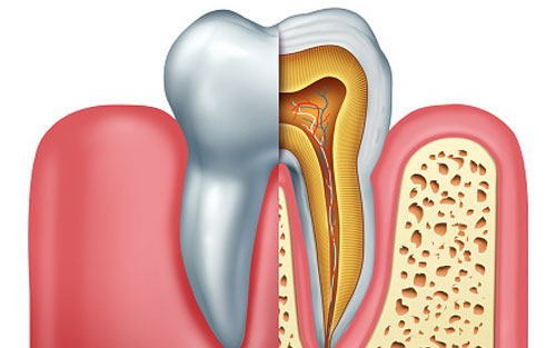 Root-Canal-Treatments.jpg